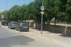 Potatura alberi: divieti al traffico in via Milite Ignoto
