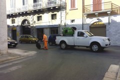 Disinfestazione e derattizzazione, ecco date e orari