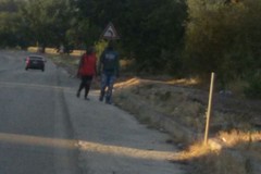 Sicurezza: pedoni a rischio sulla strada per Castel del Monte