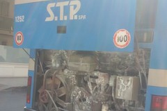 La Stp punta sull'innovazione, presi 33 nuovi bus