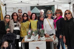 “Le Rose di Santa Rita da Cascia”: il grazie della Fondazione al volontario Domenico Cassetta