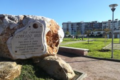 Simbiosi Urbana: La Natura come Infrastruttura del Benessere