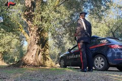 Rubano autovettura ad anziano agricoltore, dopo averlo seguito: indagano i Carabinieri