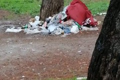 Nuova raccolta rifiuti in villa Comunale domenica 28 settembre
