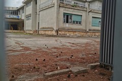 Seconda vita per la scuola "Jannuzzi", assessore Loconte: "Chiusa dal 2002 sarà ristrutturata in un anno e mezzo"