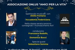 IV Edizione dell'evento "Amici per la Vita"