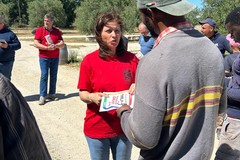 Campagna olivicola, a rischio produzione e occupazione a causa della siccità