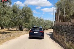 Catturato latitante, si nascondeva in una villa con piscina. Operazione dei Carabinieri