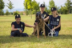 Aperte le iscrizioni al corso per Guardie zoofile dell'Oipa Bat