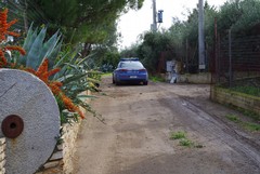 Dog's Hostel: il Sindaco di Trani firma il ritiro delle autorizzazioni sanitarie