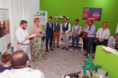 Bollette salate? Da oggi ci pensa il Cab