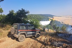 Incendi sulla Murgia, Confagricoltura Bari-Bat: “Avevamo già lanciato un’allerta"