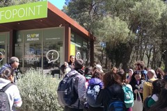 Riapre l'Infopoint di Castel del Monte, dal 2 giugno accordo tra Gal di Andria e Corato e Parco Nazionale dell'Alta Murgia