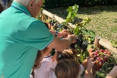Il Centro Diurno per Demenze REM di Andria e la Scuola "l'Albero azzurro" celebrano la giornata dei nonni