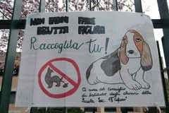 Mancata rimozione deiezioni canine: altri 30 zozzoni contravvenzionati dalla Polizia Locale