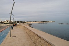 Maratona delle Cattedrali, partecipazioni anche da Andria. Limite alla circolazione per le città di Barletta, Trani, Bisceglie, Molfetta e Giovinazzo