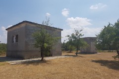 Deserta la gara per l'affidamento in concessione di Bosco Finizio e pineta di Castel del Monte