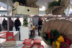 Sabato prossimo torna “Masserie sotto le Stelle”, la Puglia rurale protagonista