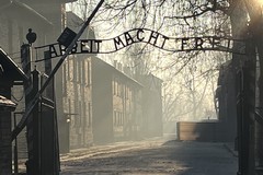 Tra memoria e partecipazione attiva: gli studenti dell' ITES-LES “Ettore Carafa” sui luoghi dell'Olocausto