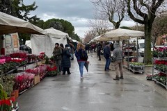 Anva Confesercenti e Federcommercio Provinciale Bat: "Comune Andria valuti forme di agevolazione per pagamento arretrati per occupazione suolo pubblico"