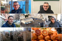 L'ortofrutta di qualità paga lo scotto del caro energia. Mercato generale di Andria punto nevralgico del commercio pugliese