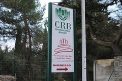 Ex Centro Ricerche Bonomo: perso finanziamento di 3 mln e 300mila euro per un ostello della gioventù