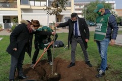 Celebrata la Festa dell'albero di Fareambiente Laboratorio di Andria