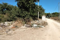 Dal boschetto di Santa Barbara alle rade querce di contrada San Nicola