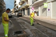 Fratelli d'Italia e Lega Andria: nuovo attacco alla nomina di Griner come Amministratore Unico dell'AndriaMultiservice