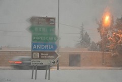Emergenza neve: problemi nelle campagne