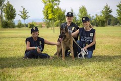 Puglia, aperte le iscrizioni al corso gratuito per guardie zoofile OIPA