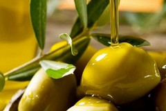 Nel 2025 giunti in Italia mezzo miliardo di chili di olio d'oliva estero