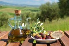 Alimentazione: Amaro e piccante non sono difetti, i falsi miti sull’olio extravergine che condizionano i consumatori