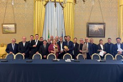 Crisi olivicoltura, in Prefettura a Bari presente anche Andria: “Al fianco degli agricoltori. Risposte immediate dal Governo”