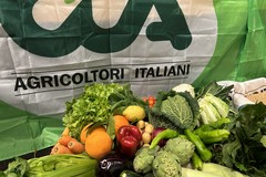 Agricoltura sotto attacco, CIA Puglia: “A rischio anche la cucina italiana”
