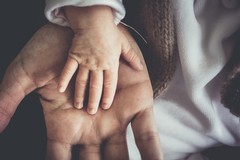 Preservare la fertilità per fini sociali: anche nella Asl Bt al via le domande per il social freezing
