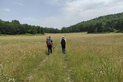 Gli italiani nel 2025 prevedono di viaggiare di più, ma con un occhio rivolto alla sostenibilità ambientale