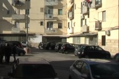 Potatura alberi: divieto di fermata e sosta su viale Venezia Giulia dal 7 al 20 febbraio