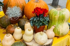 Il marchio "Puglia" continua a conquistare spazio nel carrello della spesa degli italiani