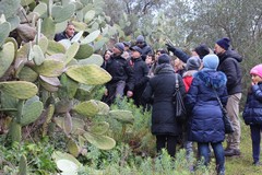 Ancora escursioni per l'associazione "Passeggiata nel Parco Nazionale dell'alta Murgia"