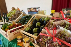 Agricoltori e consumatori uniti: petizione online per la sovranità e la sicurezza alimentare
