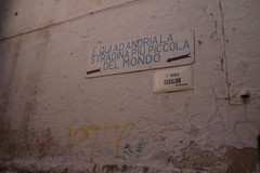 Concorso "Quintaloni", manca poco alla gara per chi pesa almeno 100 chili