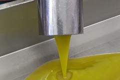 Buone notizie per l'olio d'oliva di cultivar coratina: deciso nuovo limite degli steroli