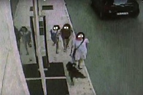 deiezioni animali