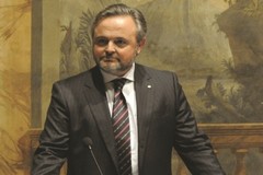 Confagricoltura, olivicoltura e comparto oleario: "la delusione è profonda, la preoccupazione è enorme"