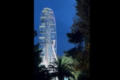 Movimento Pugliese: «Ruota panoramica, nessun rispetto per quel poco di verde in città»