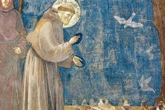 Festa di San Francesco alla parrocchia Sacre Stimmate di Andria