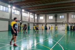 Ilgo San Valentino Volley: vittoria casalinga contro Castellana