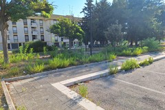 Più verde e qualche manutenzione in più al quartiere San Valentino
