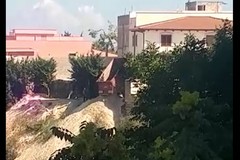 Lama S. Margherita: sversamento di inerti edilizi